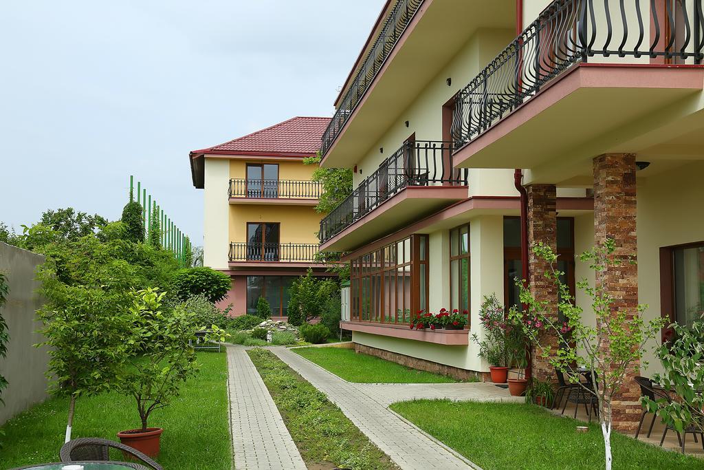 Pensiunea Genesa Dumbravita  Exterior foto